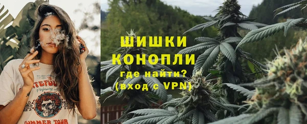 ешки Няндома
