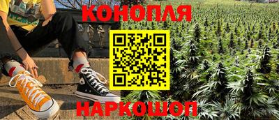 гашик Обь