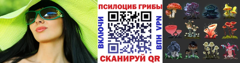hydra зеркало  Печора  Псилоцибиновые грибы Psilocybe 