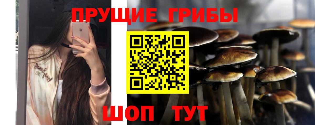 Псилоцибиновые грибы GOLDEN TEACHER Печора